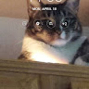 Meet your Posher, Msb5419